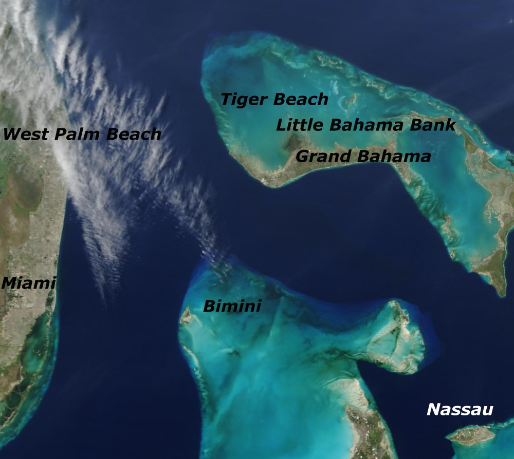 Tiger Beach bahamas